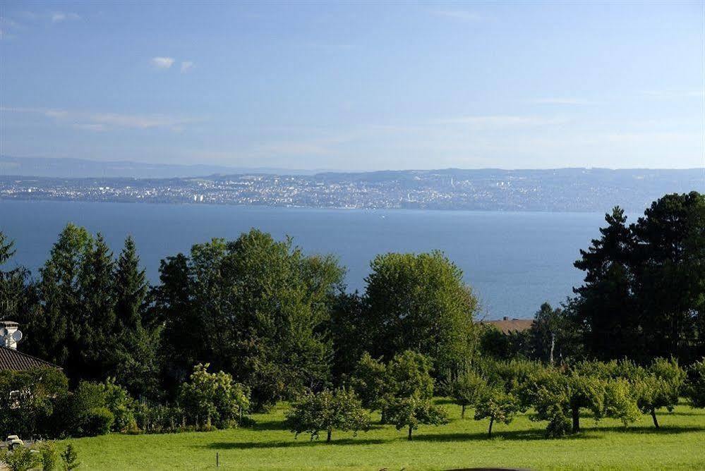 Residence Odalys Les Chalets D'Evian エクステリア 写真